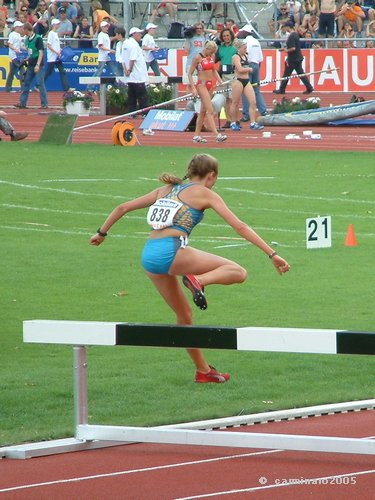 375 X 500 verena_dreier.jpg